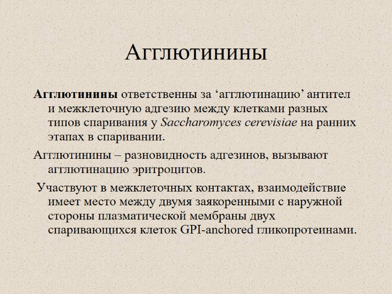 Агглютинины Агглютинины ответственны за ‘агглютинацию’ антител и межклеточную адгезию между клетками разных типов спаривания